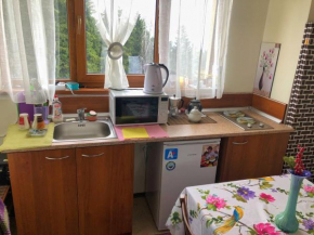 Hotels in Pamporovo